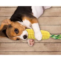 Corn-shaped Dental Chew Dog Toy 13 Corn-shaped Dental Chew Dog Toy -Petkit Shop 10 6070c0c9 fd72 4ac9 86da a6aa57319db3