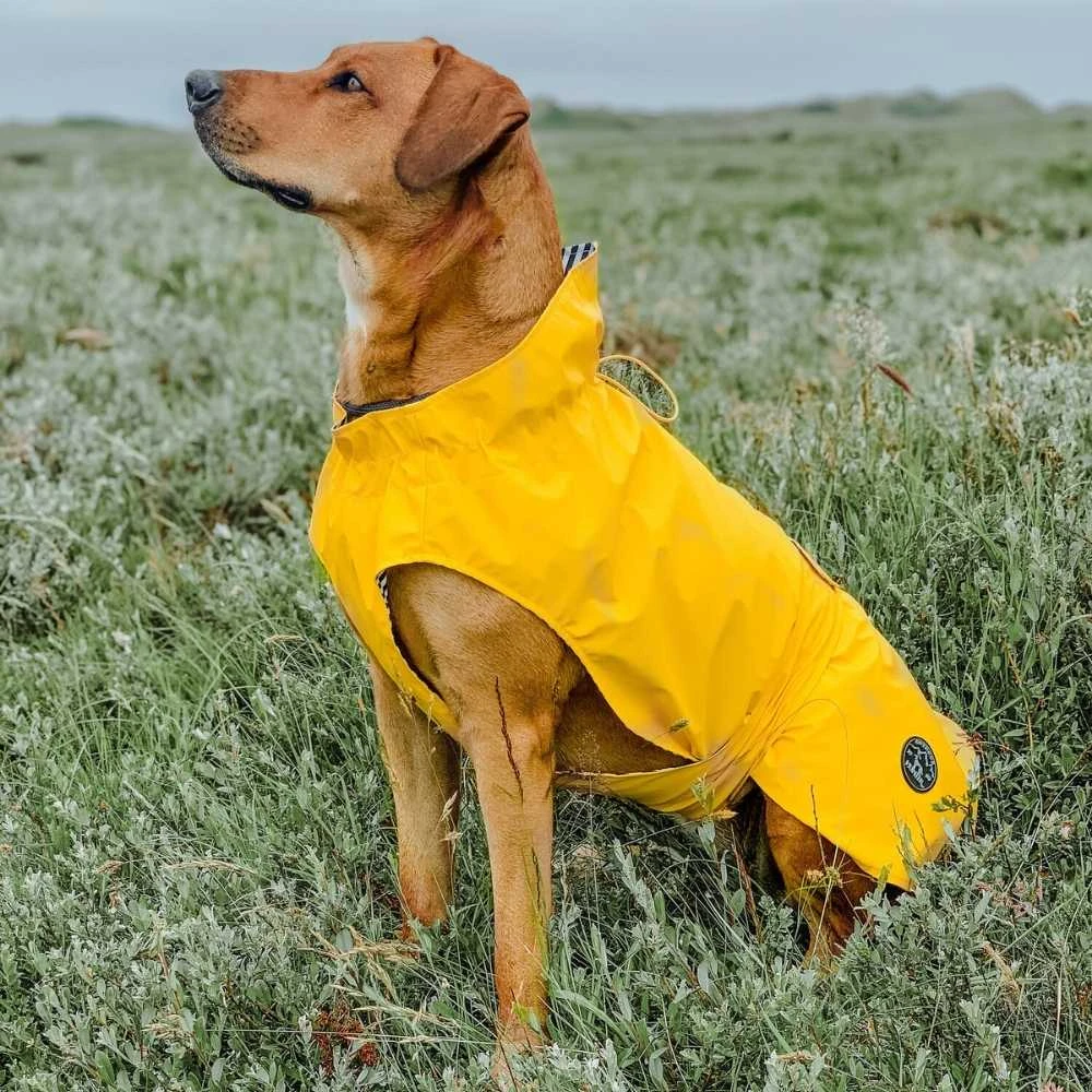 Hunter Milford Raincoat For Dogs 15 Hunter Milford Raincoat For Dogs - Image 13