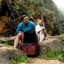 Ibiyaya Champion Large Dog Backpack, Maroon -Petkit Shop 112 2f8318a3 62c8 4cbc b840 253679d9818f