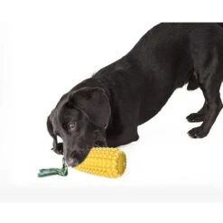 Corn-shaped Dental Chew Dog Toy 14 Corn-shaped Dental Chew Dog Toy -Petkit Shop 11 2d4328a5 2576 44b3 9f63 f85c984e758f