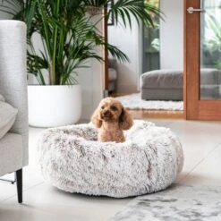 Curl Up Cloud Calming Dog Bed, Sable -Petkit Shop 121 c4965664 4dcc 4e70 ac50 2dc008dac729