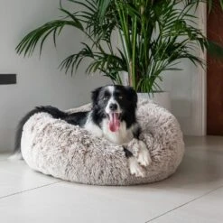 Curl Up Cloud Calming Dog Bed, Sable -Petkit Shop 122 cfdb2e2a bfc4 451e 9018 417fe5a11f05