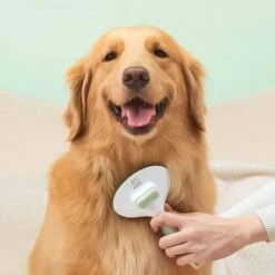Michu Pet Brush Deshedding Tool 13 Michu Pet Brush Deshedding Tool -Petkit Shop 12 4e553d90 24e9 4096 a29b 94f775c4b467