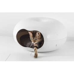 Moderna Donut Cat Cave, Plastic Bed For Cats & Small Dogs 8 Moderna Donut Cat Cave, Plastic Bed For Cats & Small Dogs -Petkit Shop 12 ab37b532 1663 4781 a1b4 675f31e7ebbd