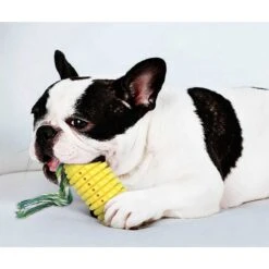 Corn-shaped Dental Chew Dog Toy 15 Corn-shaped Dental Chew Dog Toy -Petkit Shop 12 f6b936f0 a434 4e18 aca3 10627f090e6c