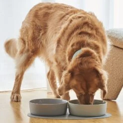 Ceramic Dog Bowl, Slate -Petkit Shop 13 49a981ec 40e1 482c 9107 eab2af7f27a4