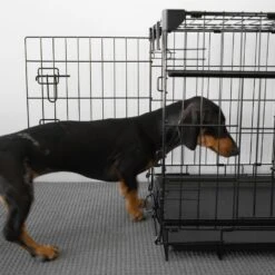 Sliding Door Dog Crate -Petkit Shop 14 dde19b2a 1d8c 4b70 80b5 0d89d6ed7af4