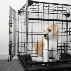 Sliding Door Dog Crate -Petkit Shop 15 6c725fbe 99cc 4ace 8003 d504e571010b