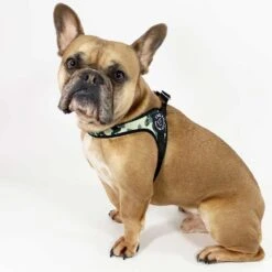 Tre Ponti Adjustable Girth Easy Fit Pet Harness, Camouflage Grey -Petkit Shop 15 7a82395a e4b7 4ef8 ac0f f1ffa68aba03