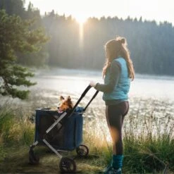 Ibiyaya BigBuddy Pet Stroller And Crate Combo, Crystal Teal -Petkit Shop 175