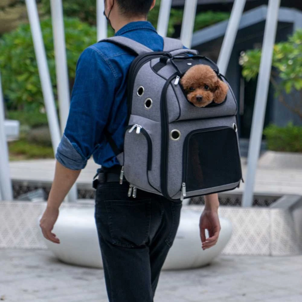Expandable Pet Backpack 4 Expandable Pet Backpack - Image 3