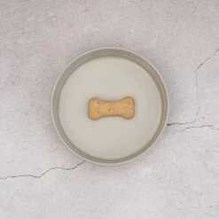 Ceramic Dog Bowl, Slate -Petkit Shop 18 3f84959a 1753 4d09 bb98 f8706670364c