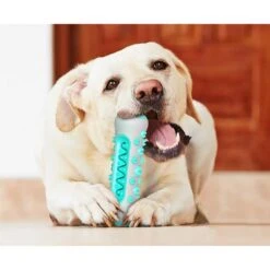 Dental Chew Rope Dog Toy -Petkit Shop 18 8e33be55 6484 4813 9e29 9ab3df164260