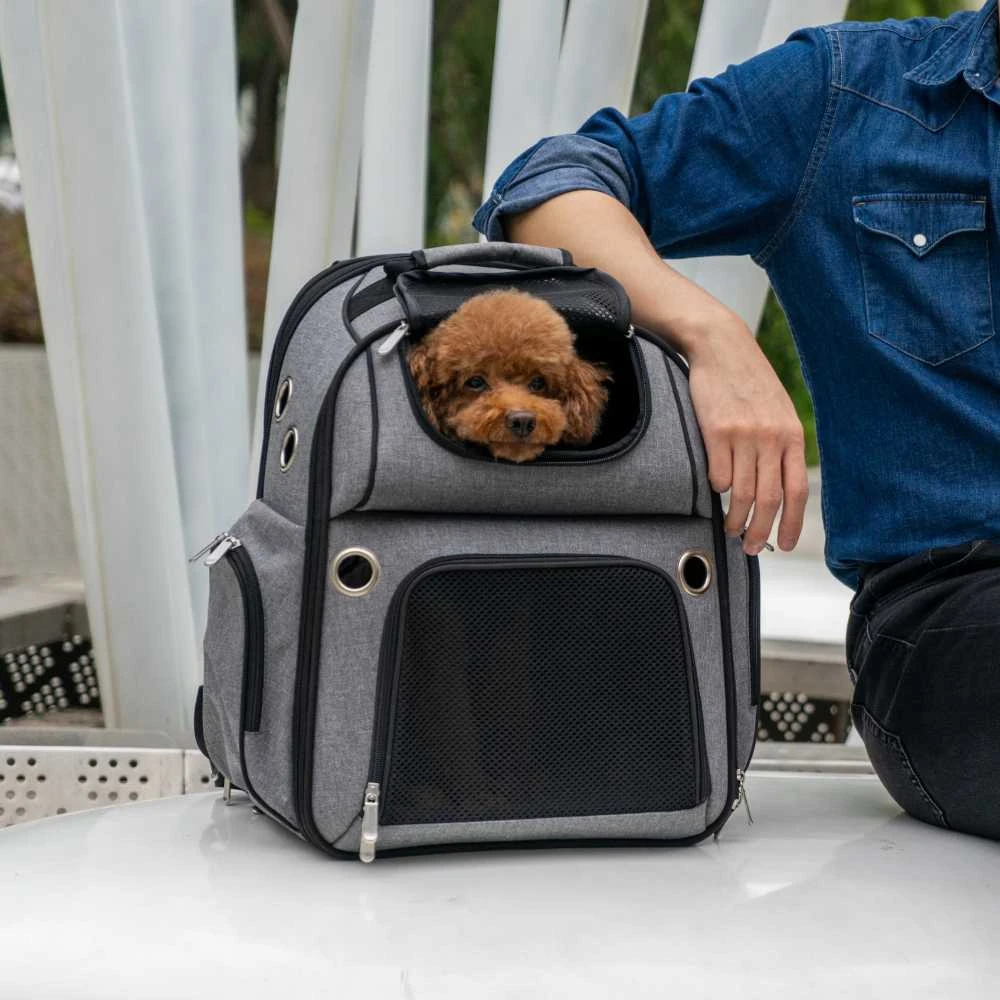 Expandable Pet Backpack 5 Expandable Pet Backpack - Image 4