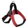 Tre Ponti Brio Adjustable Step In Dog Harness, Red 2 Tre Ponti Brio Adjustable Step In Dog Harness, Red -Petkit Shop 1 c0ab5b0c fcff 4ae9 8453 01cab7dba901