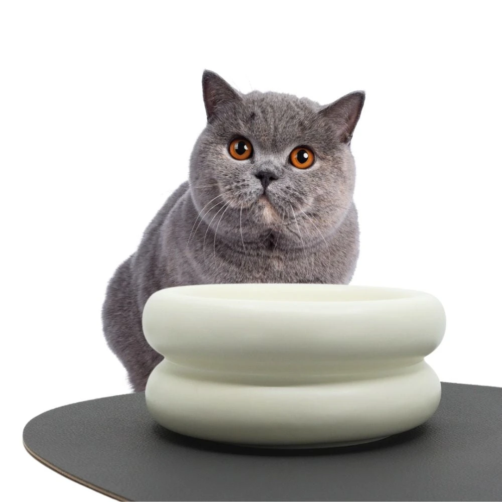 Ceramic Cat Dining Bowl - Elevated 4 Ceramic Cat Dining Bowl - Elevated - Image 2