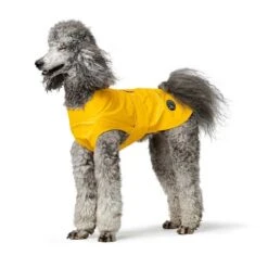 Hunter Milford Raincoat For Dogs 29 Hunter Milford Raincoat For Dogs -Petkit Shop 2