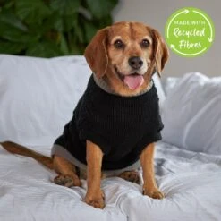 Black Knitted Dog Jumper -Petkit Shop 20 f68703fd 22cb 43f5 8e12 f40d5c804701