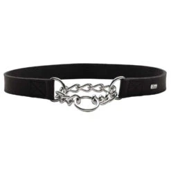 Hunter Aalborg Martingale Dog Collar, Black