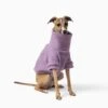 Teddy Dog Jumper, Lilac 1 Teddy Dog Jumper, Lilac -Petkit Shop 25 68254016 e739 4c96 a4af b092b09de106