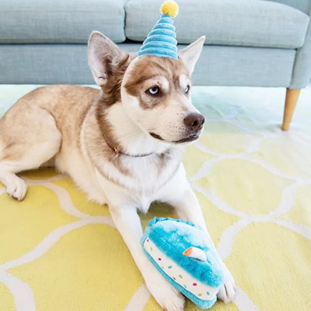 Zippy Paws Birthday Cake Plush Squeaker Dog Toy, Blue 4 Zippy Paws Birthday Cake Plush Squeaker Dog Toy, Blue - Image 2