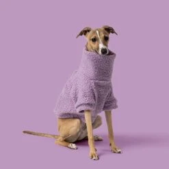 Teddy Dog Jumper, Lilac -Petkit Shop 26 aa0bbd73 9e08 4fd2 91da 803b7b00997e