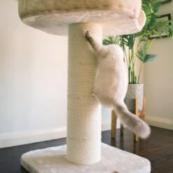 High Bed Scratching Post For Large Cats, Cream -Petkit Shop 28 a96b7afa c87f 42c7 b181 df972a2d7003