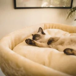 High Bed Scratching Post For Large Cats, Cream -Petkit Shop 29 667a06e4 51ac 46b8 a522 44b4c4606b4b