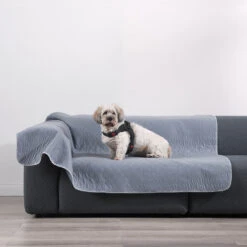 Petkit Shop -Petkit Shop 2 88acb1f2 c2c8 4bd0 9ab7 26e47c804f64