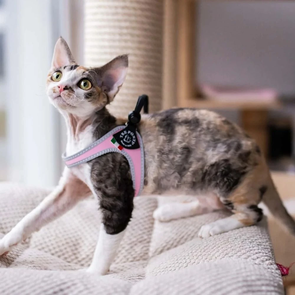 Tre Ponti Genesis Adjustable Step In Harness For Dogs And Cats, Pink 5 Tre Ponti Genesis Adjustable Step In Harness For Dogs And Cats, Pink - Image 3