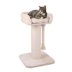 High Bed Scratching Post For Large Cats, Cream