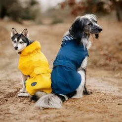 Hunter Milford Raincoat For Dogs 32 Hunter Milford Raincoat For Dogs -Petkit Shop 35 61b7e3ca 6c75 4bd6 9b07 b1df58e3cac3
