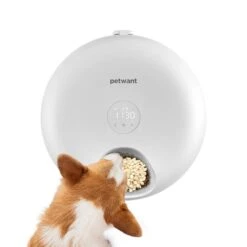 Petwant Automatic Wet Food Pet Feeder -Petkit Shop 37 7b1f59fc 4434 4d11 9657 8b6a79393410