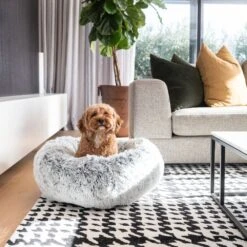 Curl Up Cloud Calming Dog Bed, Dove Grey -Petkit Shop 39 65df10b4 0618 4804 a54e f4e5447640ae