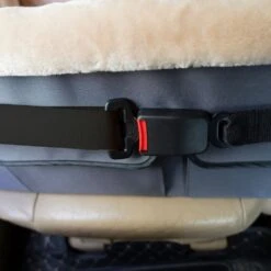 Elevated Dog Car Seat Grey | Large 17 Elevated Dog Car Seat Grey | Large -Petkit Shop 44 716123c8 cd8e 428c bb96 45b5621d9ccb