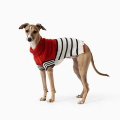 Emerson Knitted Dog Jumper -Petkit Shop 4 39cd9e79 de55 4a74 9531 4fe76be56c44