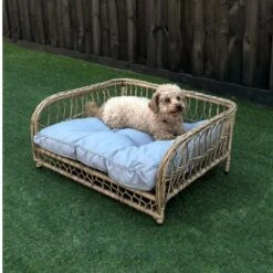 Jacob Outdoor Wicker Rope Elevated Dog Bed, Natural -Petkit Shop 53 fc3372fe 6422 4df5 8445 1965f46f2a3c