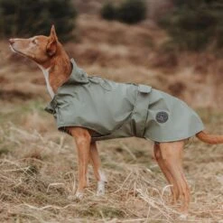 Hunter Milford Raincoat For Dogs With Harness Opening, Olive Green -Petkit Shop 56 67568835 455e 4ce1 86f8 cb059eda8f8f