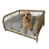 Jacob Outdoor Wicker Rope Elevated Dog Bed, Natural 2 Jacob Outdoor Wicker Rope Elevated Dog Bed, Natural -Petkit Shop 57 d1355bfc 606a 48c7 8959 8a6374e5a4ff