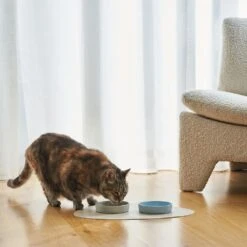 Ceramic Cat Bowl, Slate 7 Ceramic Cat Bowl, Slate -Petkit Shop 5 b54d1147 9eba 491b 9bb3 50f19d93bf1a