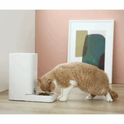 Petkit Fresh Element Mini Smart Automatic Pet Feeder, White -Petkit Shop 68 9db90edc 2ecc 482e 866f 31aee5378c98
