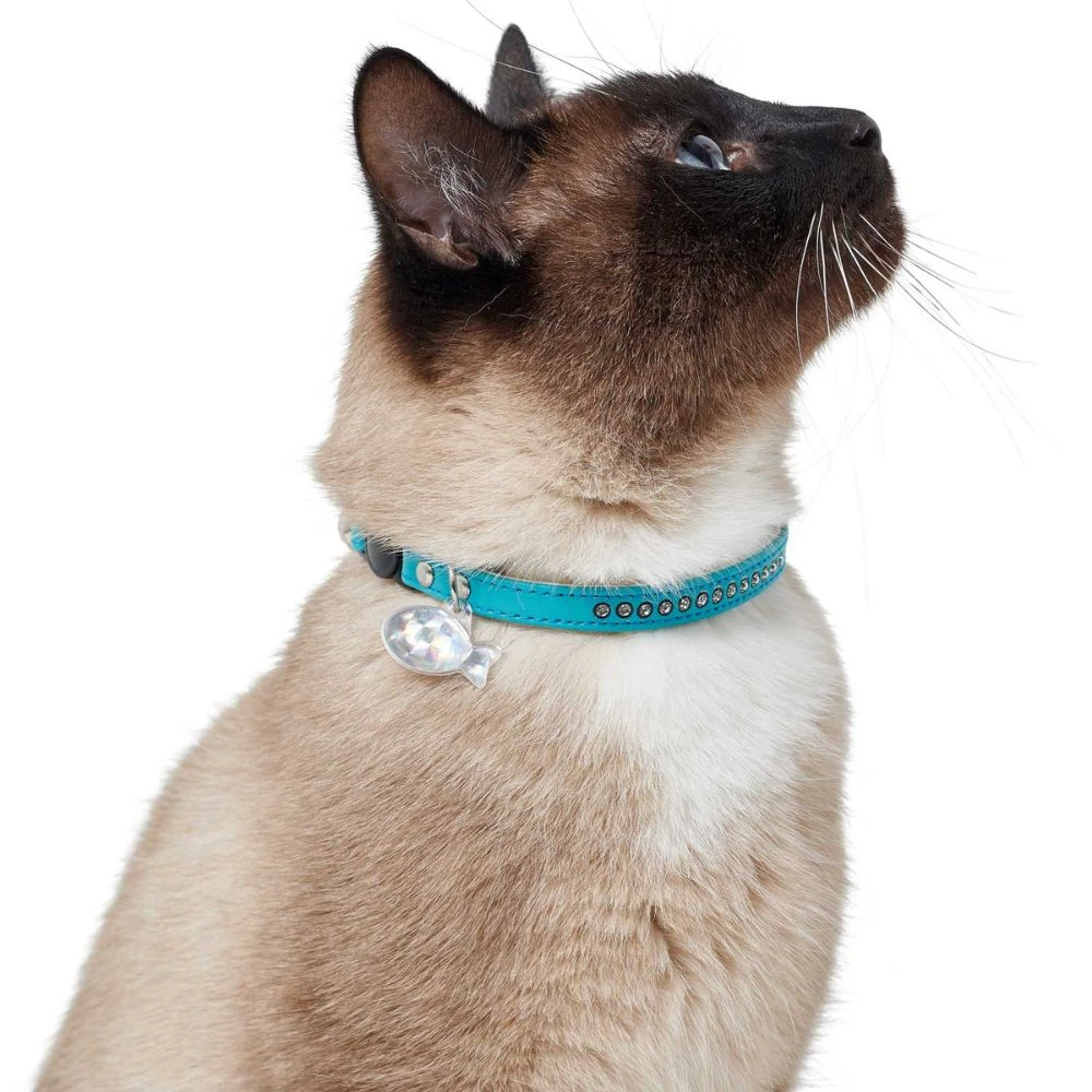 Hunter Modern Art Luxus Cat Collar, Turquoise 4 Hunter Modern Art Luxus Cat Collar, Turquoise - Image 2