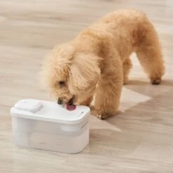 Michu Cordless Automatic Cat Water Fountain -Petkit Shop 75 a944214b 5ad6 4c06 bda5 1378e7a3f94f