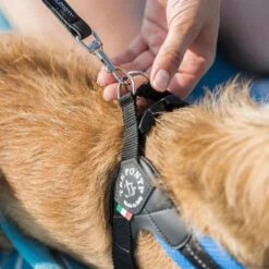 Tre Ponti Mesh Adjustable Girth Easy Fit Pet Harness, Blue 15 Tre Ponti Mesh Adjustable Girth Easy Fit Pet Harness, Blue -Petkit Shop 79 616078db fe57 43a6 9bcb 16daabddfa08