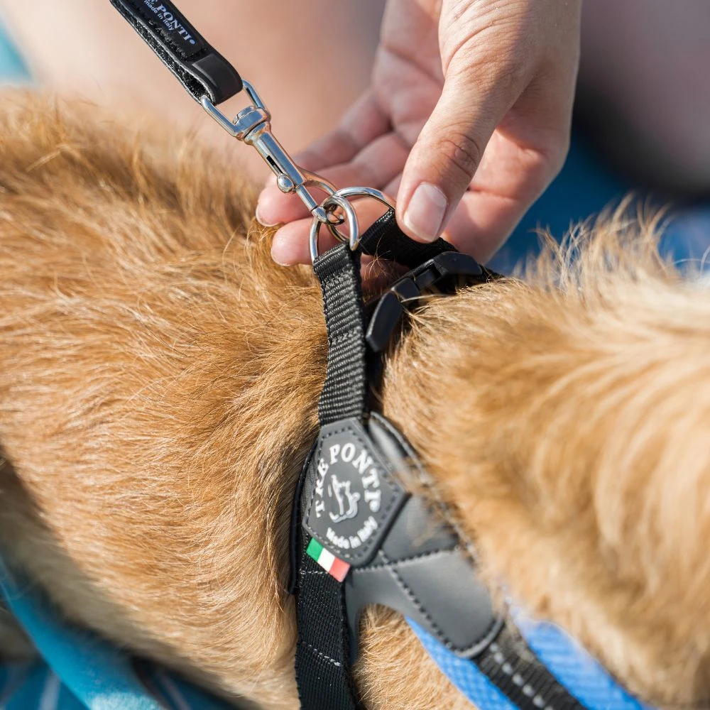 Tre Ponti Mesh Adjustable Girth Easy Fit Pet Harness, Blue 8 Tre Ponti Mesh Adjustable Girth Easy Fit Pet Harness, Blue - Image 6