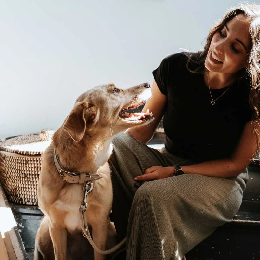 Hunter Dog Collar Amalfi, Tan 9 Hunter Dog Collar Amalfi, Tan - Image 7