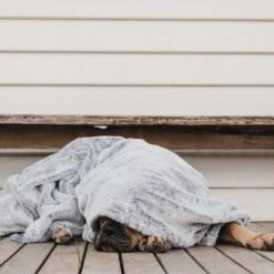 T&S Pet Blanket, Moonlight Grey -Petkit Shop 88