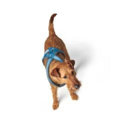 Hunter London Comfort Dog Harness -Petkit Shop 88 9f7d14cc cfa4 4a5a b681 6a01842361cd