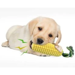Corn-shaped Dental Chew Dog Toy 12 Corn-shaped Dental Chew Dog Toy -Petkit Shop 8 0a356154 dfbd 445c b03d ce037cb4b69b