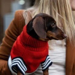 Emerson Knitted Dog Jumper -Petkit Shop 8 beb608a8 9255 4bb6 80ab e4b8022c83c0